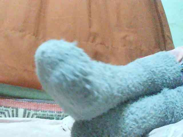 TriciaBella webcam