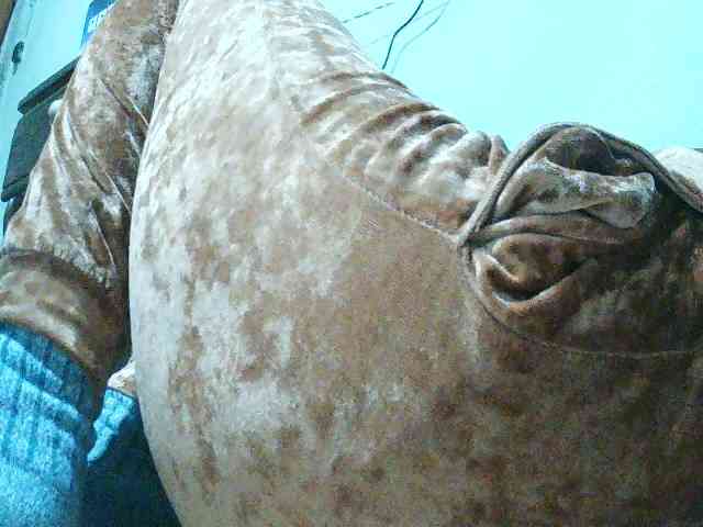 TriciaBella webcam