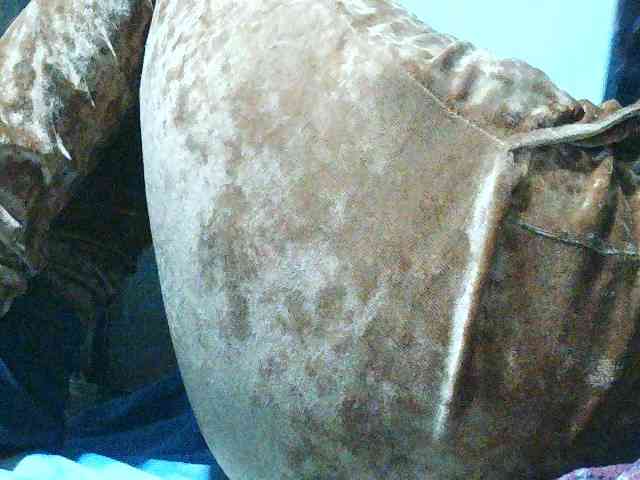 TriciaBella webcam