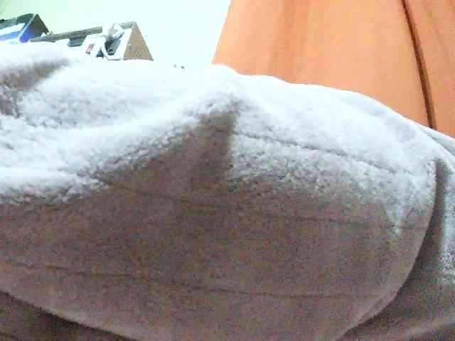 TriciaBella webcam