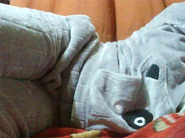 TriciaBella webcam