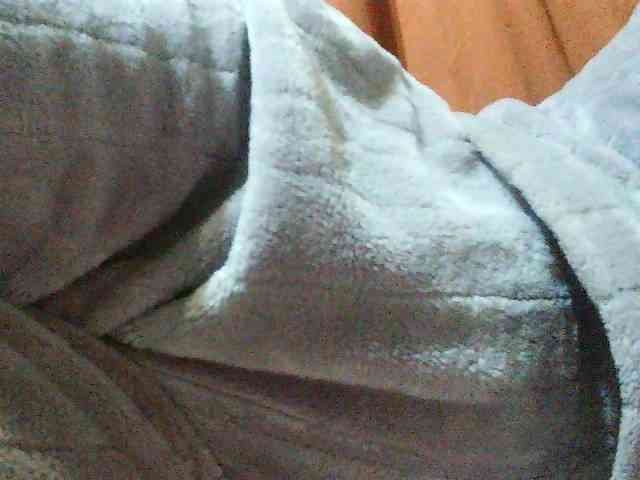 TriciaBella webcam