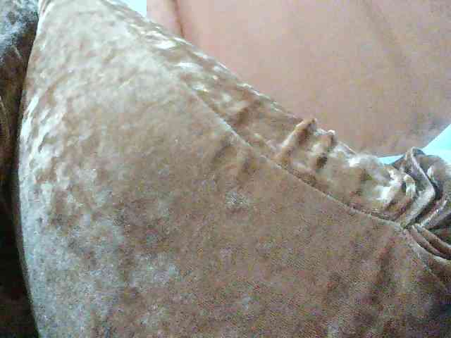TriciaBella webcam