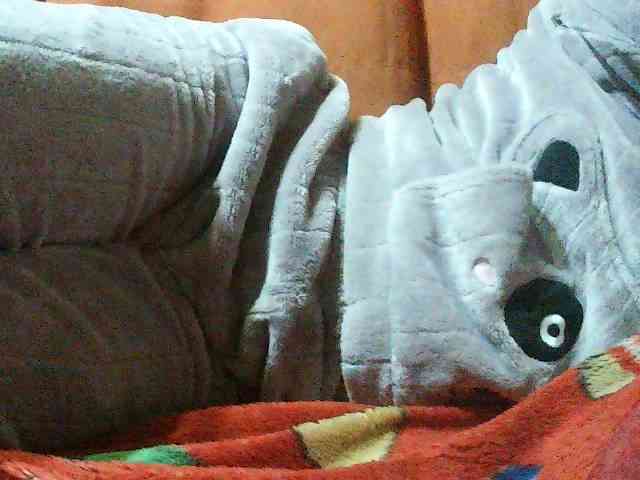 TriciaBella webcam