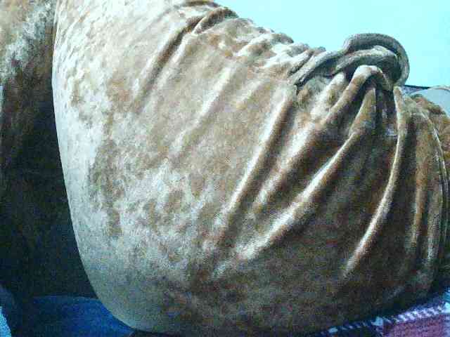 TriciaBella webcam