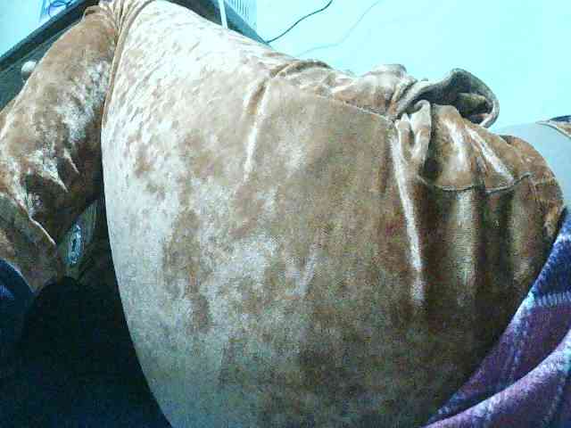 TriciaBella webcam