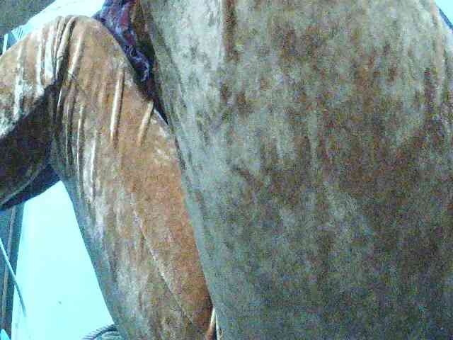 TriciaBella webcam