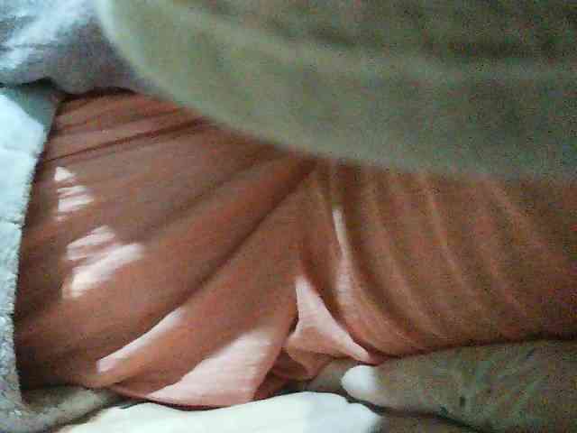 TriciaBella webcam