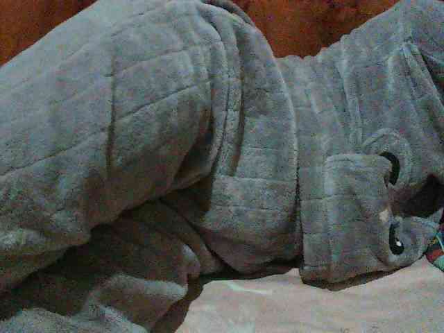 TriciaBella webcam