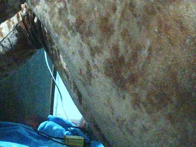 TriciaBella webcam