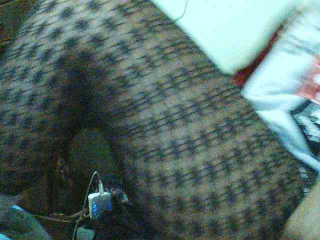 TriciaBella TriciaBella