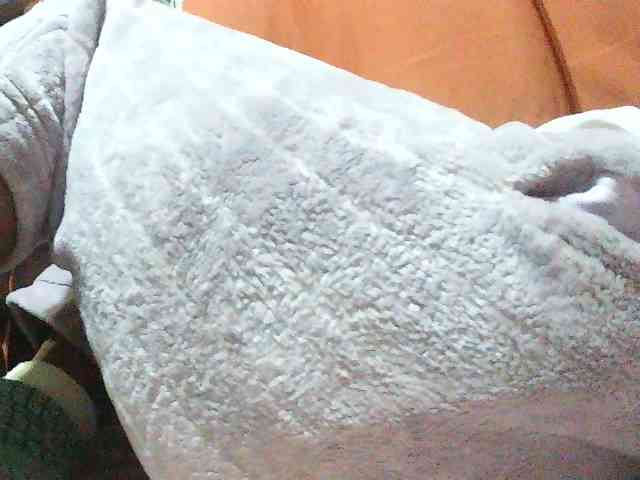 TriciaBella webcam