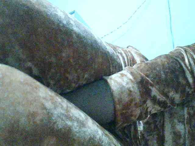 TriciaBella webcam