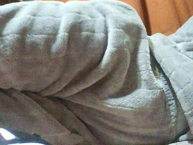 TriciaBella webcam