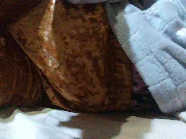TriciaBella webcam