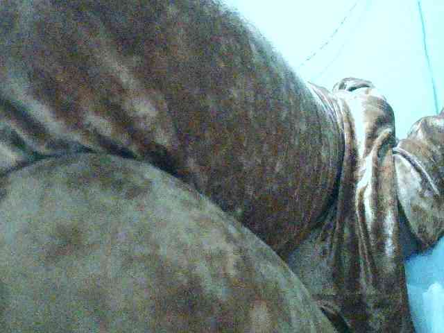 TriciaBella webcam