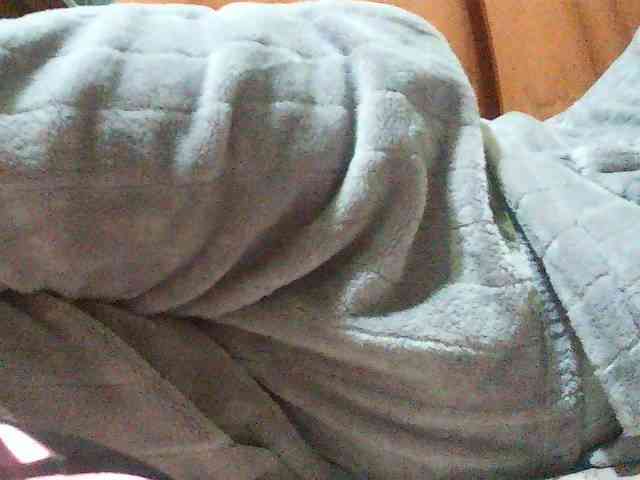 TriciaBella webcam