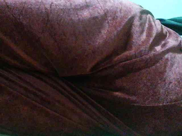 TriciaBella webcam