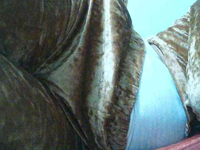 TriciaBella webcam
