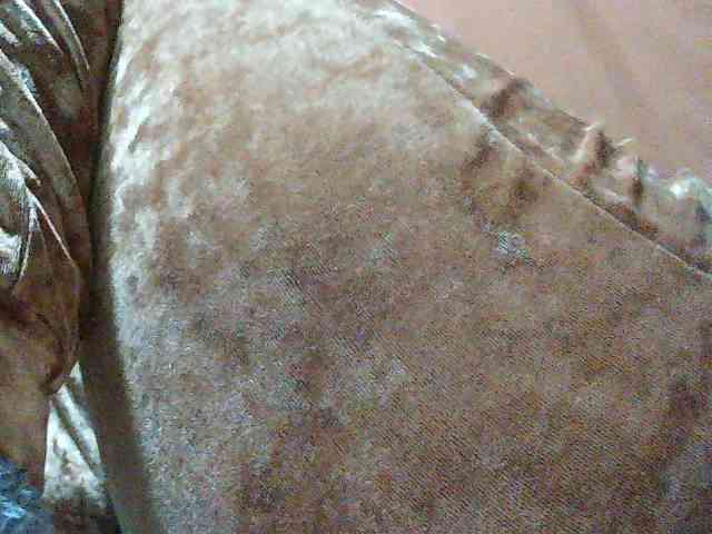 TriciaBella webcam