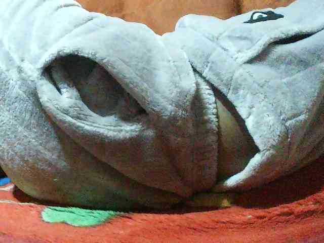 TriciaBella webcam