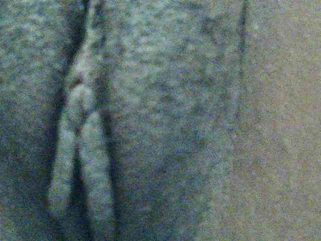TriciaBella webcam