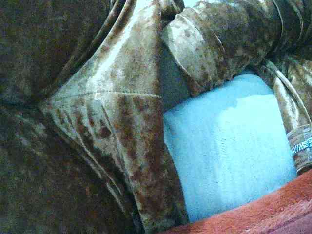 TriciaBella webcam