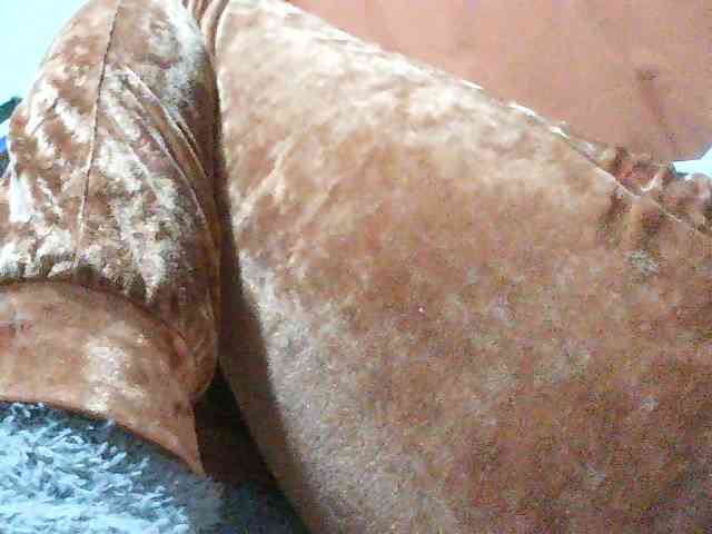 TriciaBella webcam