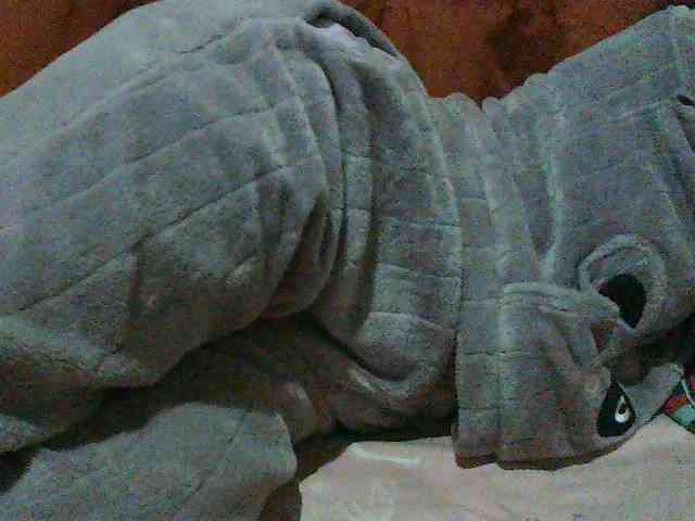 TriciaBella webcam