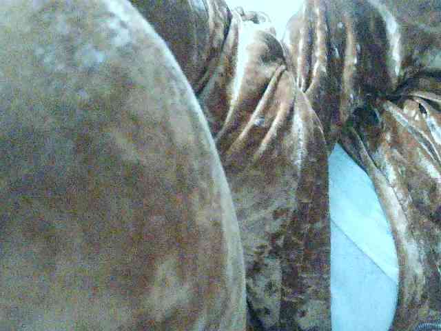 TriciaBella webcam