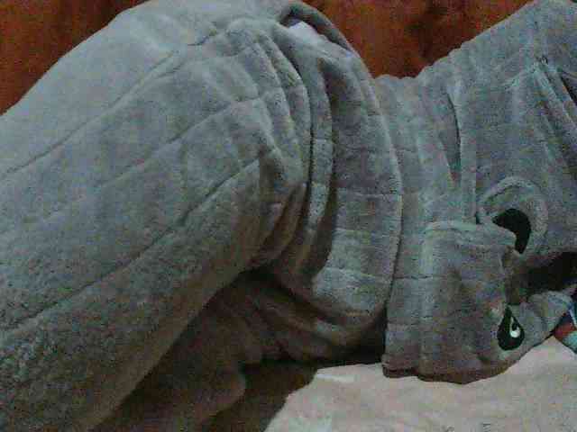 TriciaBella webcam