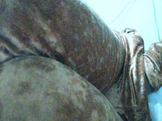 TriciaBella webcam