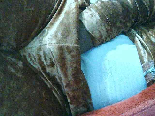TriciaBella webcam