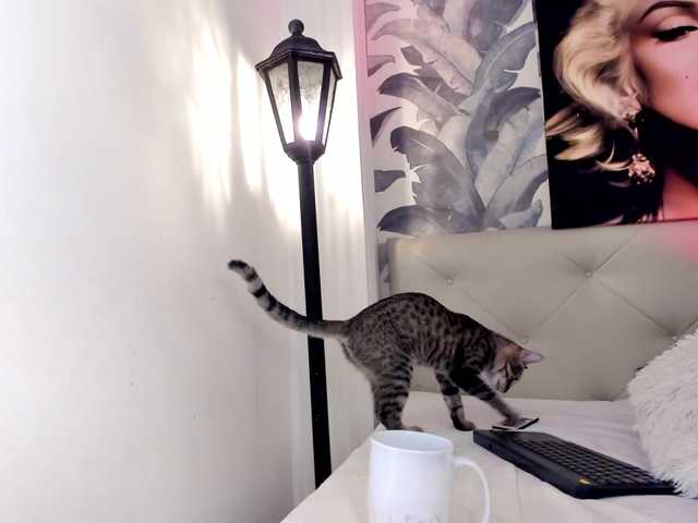 viktoria-davis live cam on BongaCams