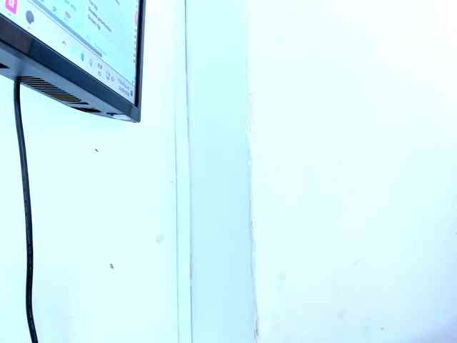 viktoria-davis webcam
