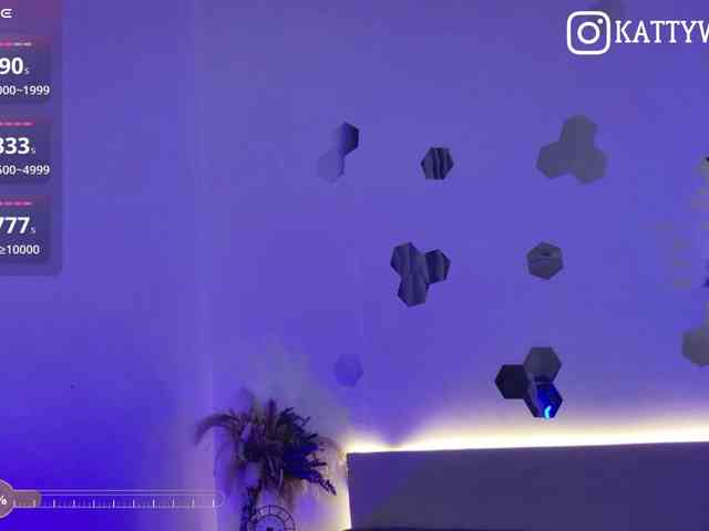 KATTYUSHA webcam