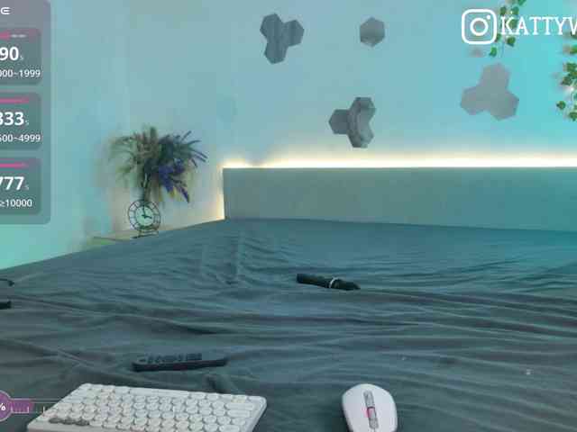 KATTYUSHA webcam