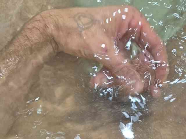 Sahabi