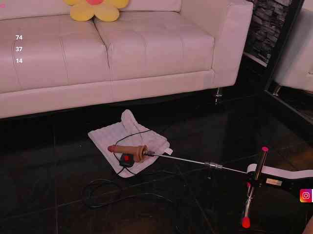 coralwells webcam