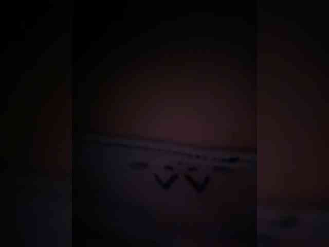 coralwells webcam