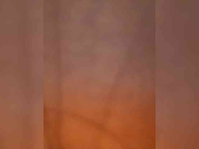 MissSweetie webcam