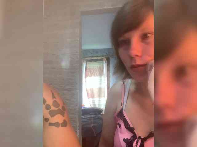 Dmeesk