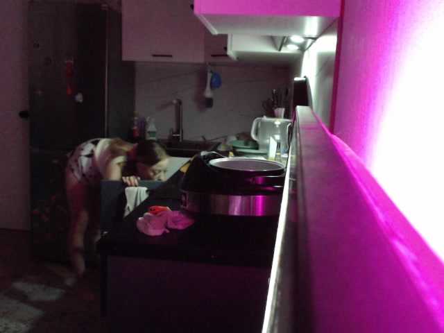 Gospodin-s live cam on BongaCams