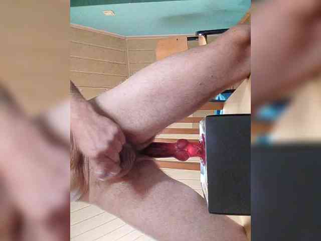 rarasek12 rarasek12