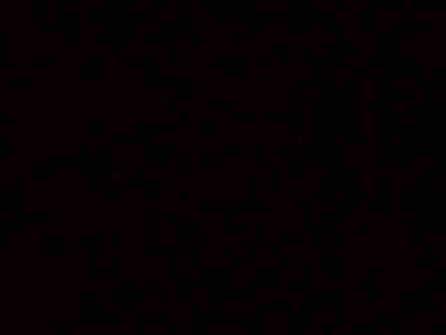 rarasek12
