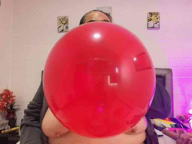 Modelo: QueenMatturex