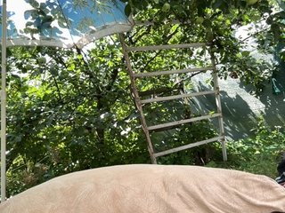_Veloria_ Porn Show
