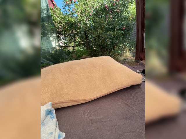 _Veloria_