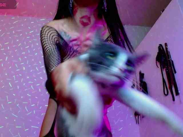 BabyNova webcam
