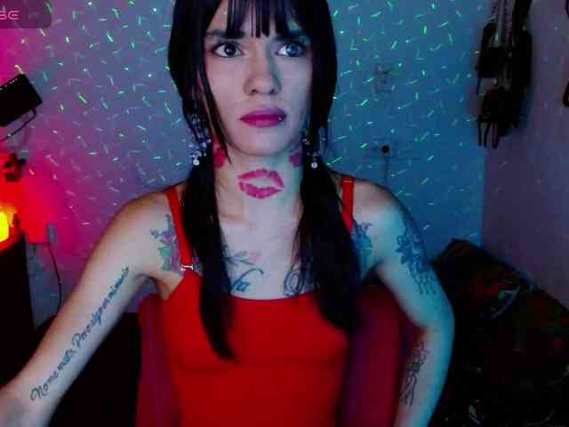 BabyNova webcam